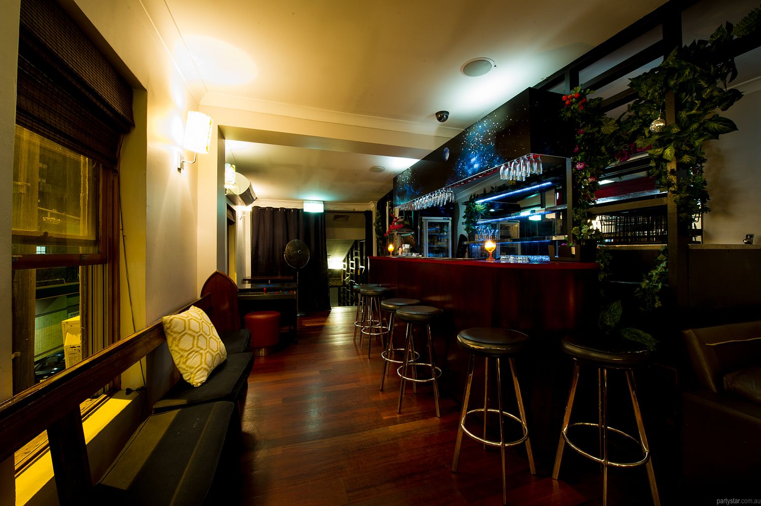 The Hive Bar, Erskineville, NSW. Function Room hire photo #5