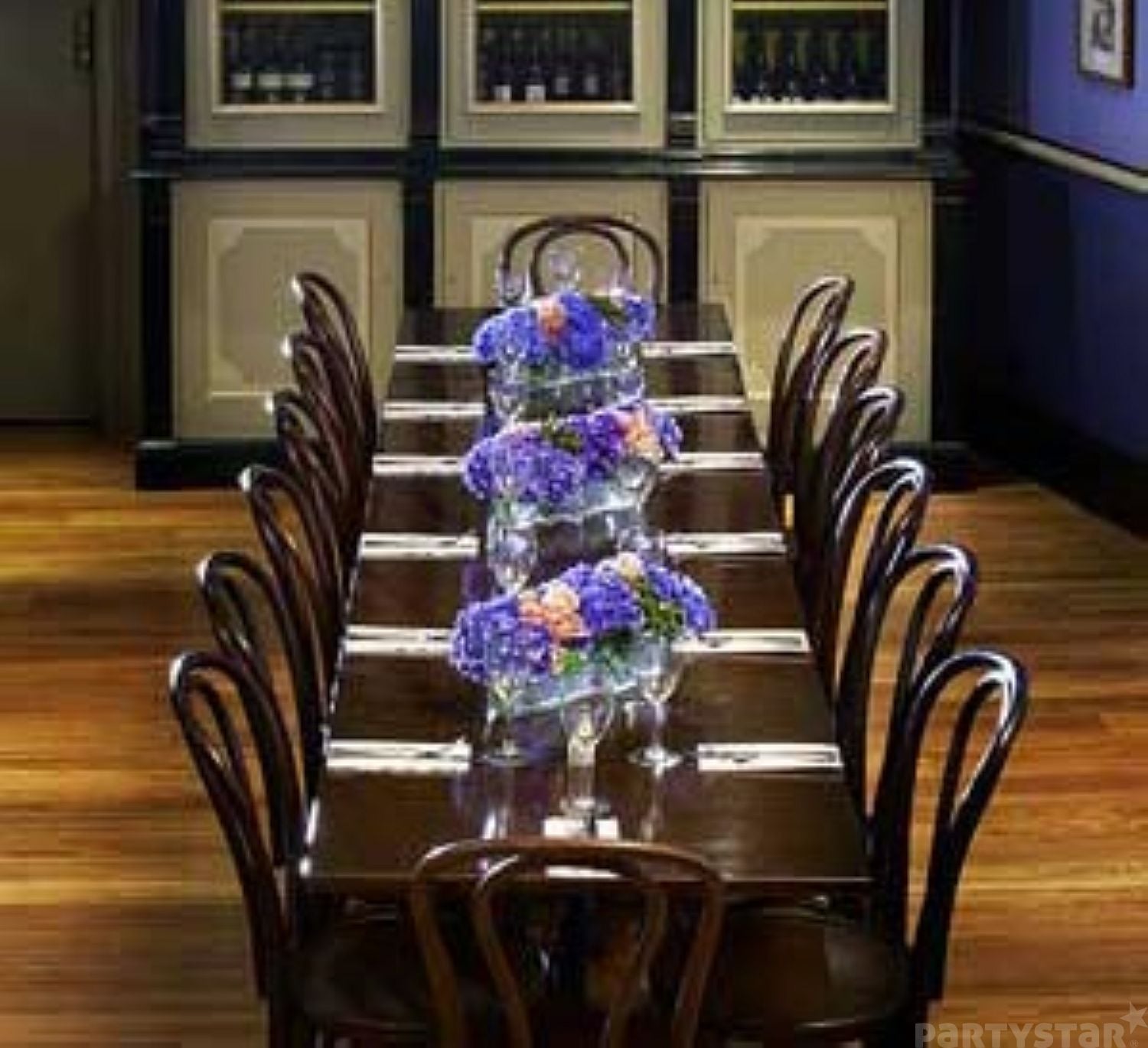 Print Party Room function space at Durty Nelly's, Paddington, NSW. Photo 1