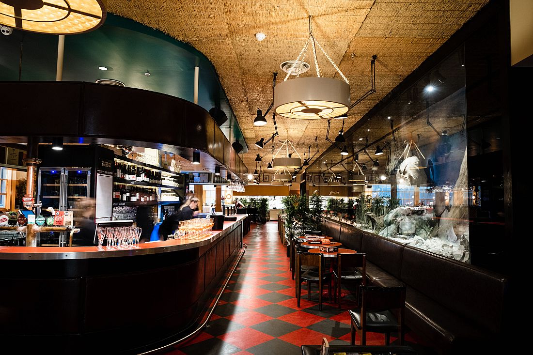 Natural History Public Bar Melbourne Review And Details natural-history-public-bar-melbourne-review-and-details